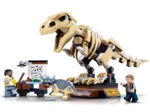 Tentoonstelling dinosaurusfossiel van T. rex 76940