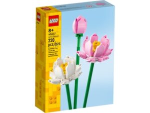 Lotusbloemen 40647