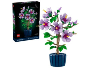 Hibiscus 10372